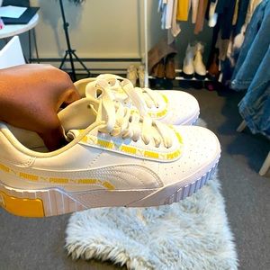Yellow pumas